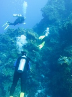 Divers IMG 5121